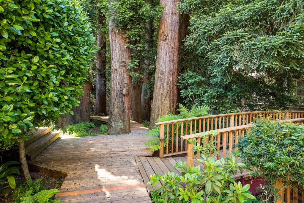 Mill Valley Inn Экстерьер фото
